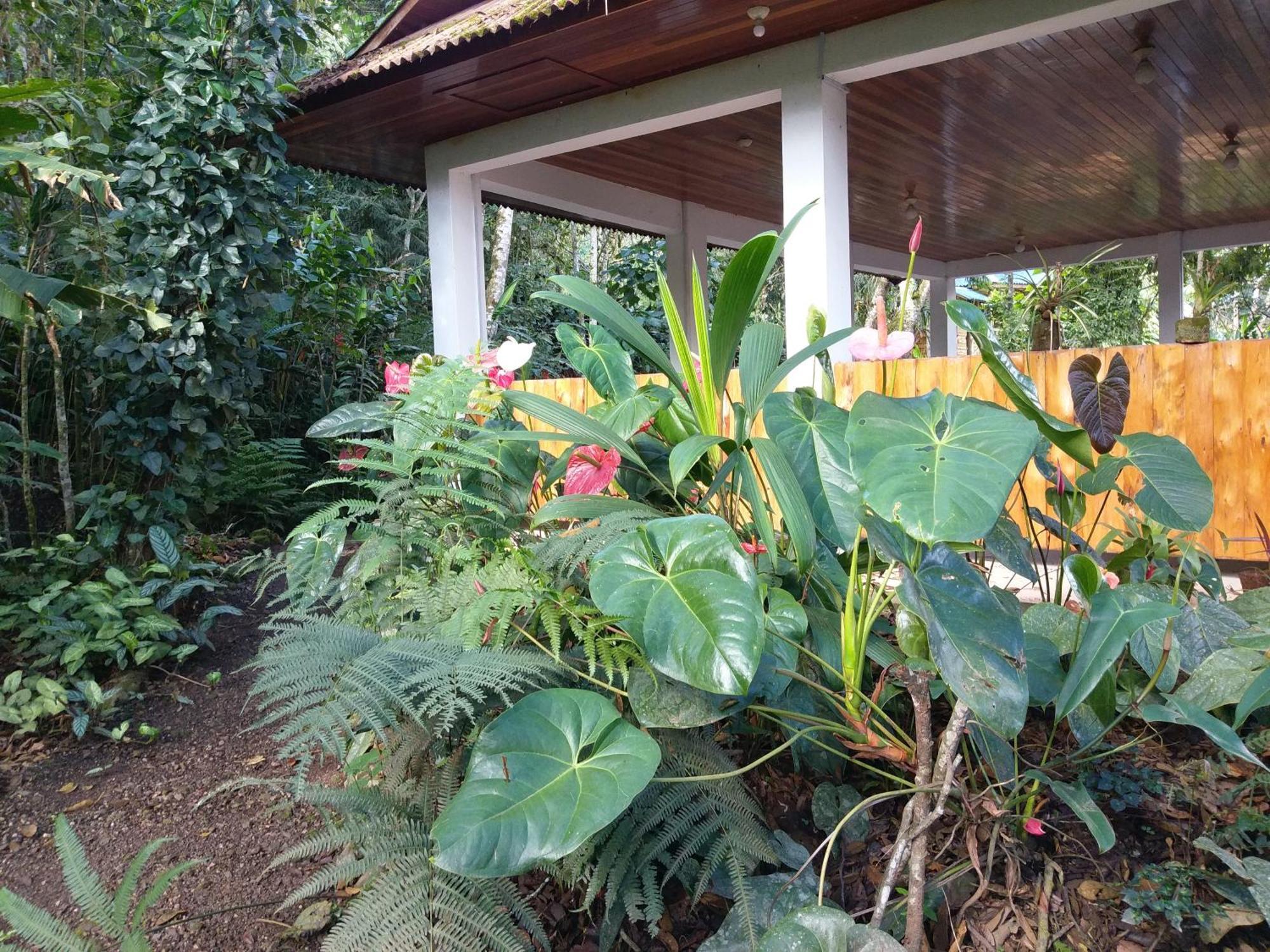 Refugio De Orquideas Villa Oxapampa Exterior photo
