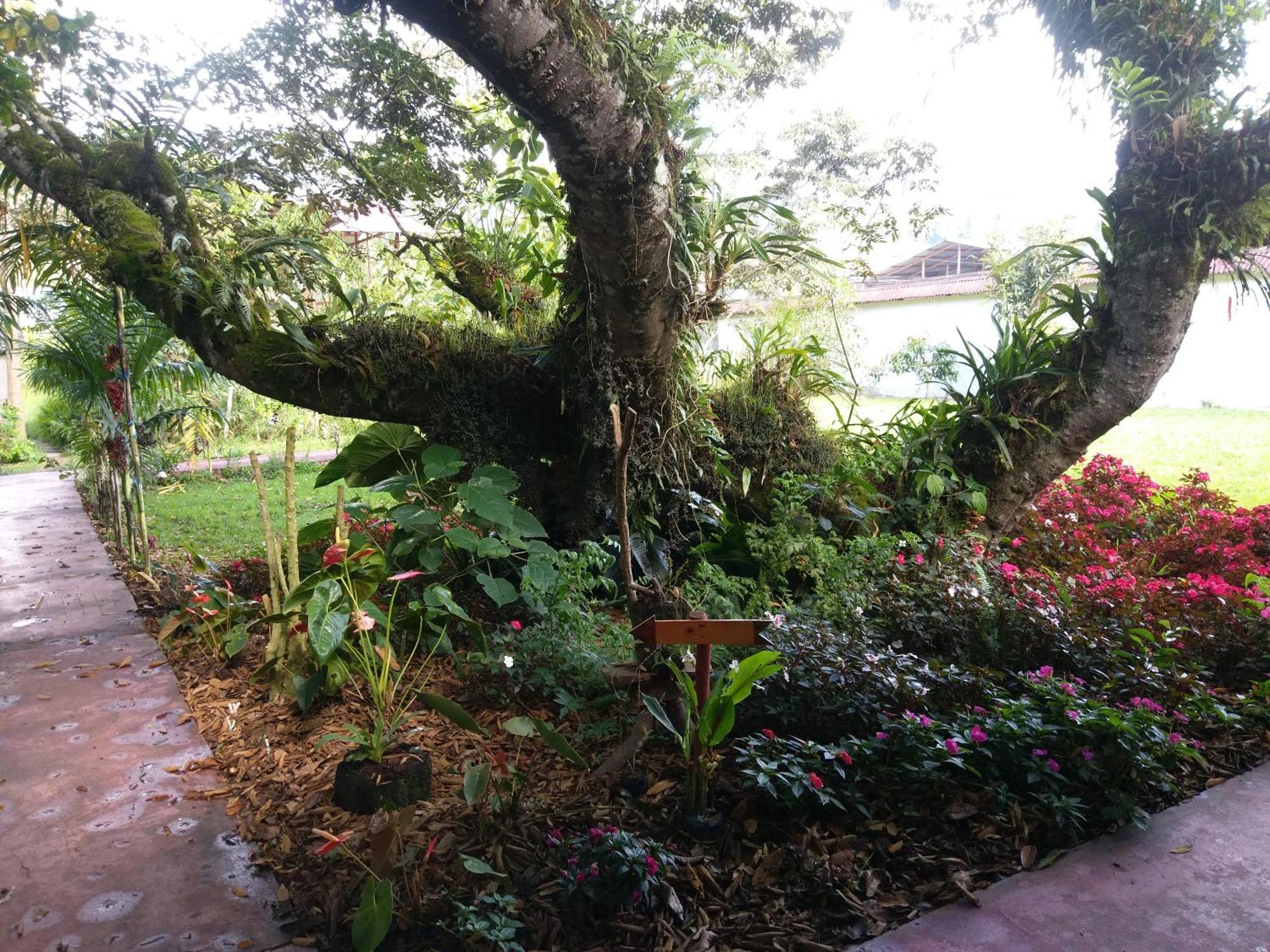 Refugio De Orquideas Villa Oxapampa Exterior photo