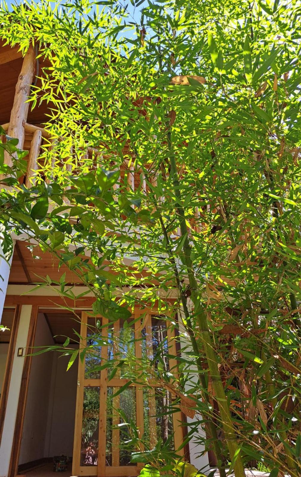 Refugio De Orquideas Villa Oxapampa Exterior photo